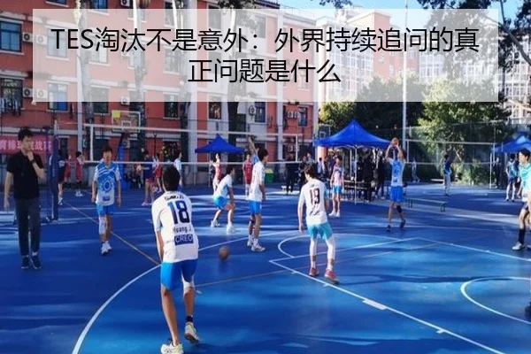 TES淘汰不是意外：外界持续追问的真正问题是什么 | ayx